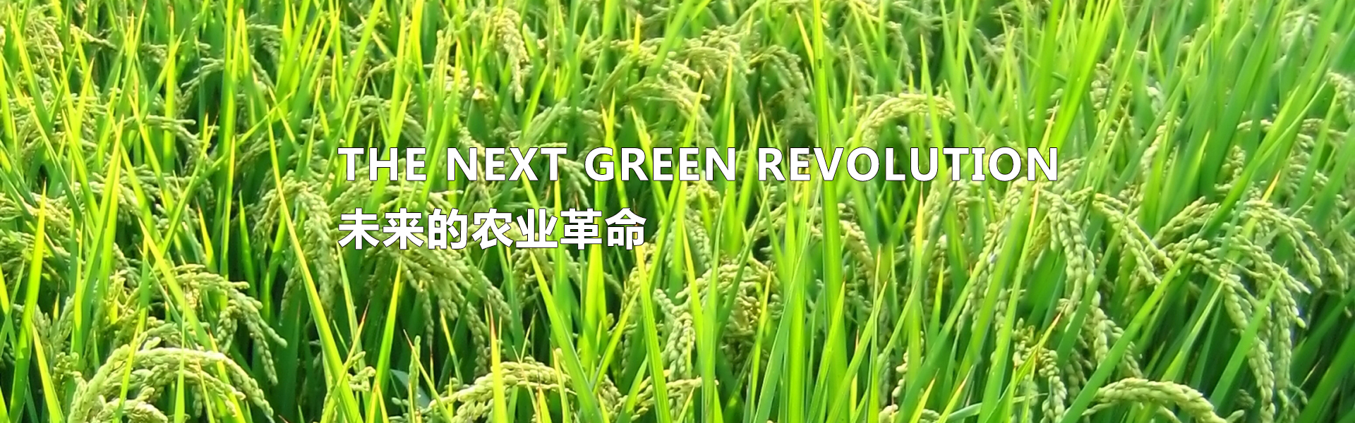 吉米高（廈門）農(nóng)業(yè)科技有限公司