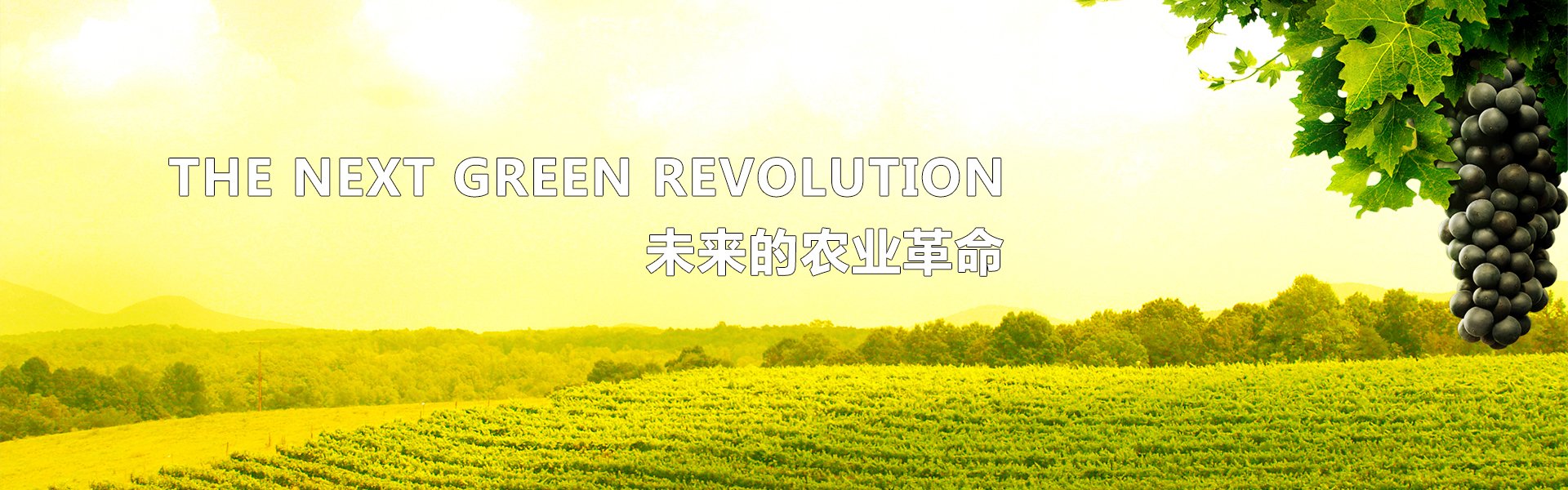 吉米高（廈門）農(nóng)業(yè)科技有限公司
